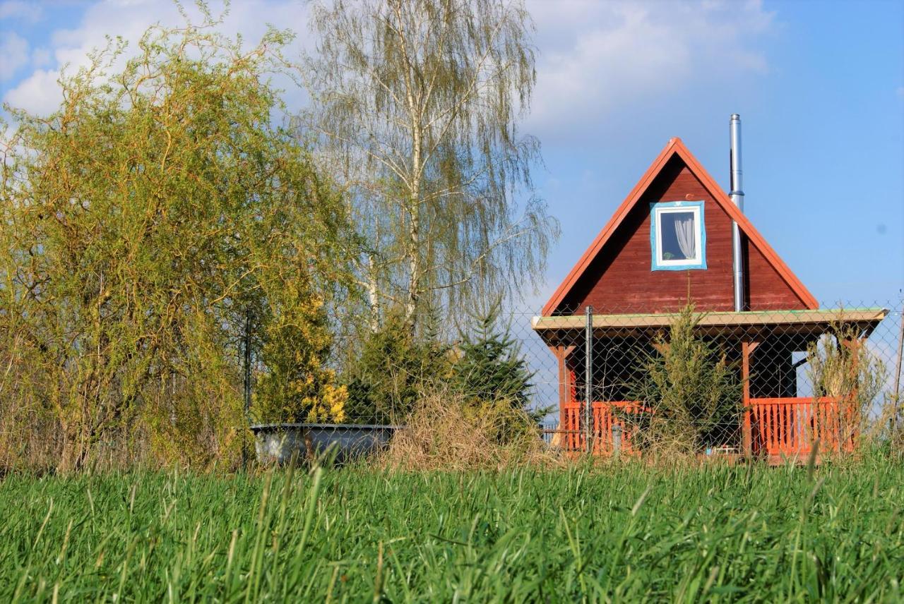 Losiowate Gospodarstwo Agroturystyczne Rybaki  外观 照片