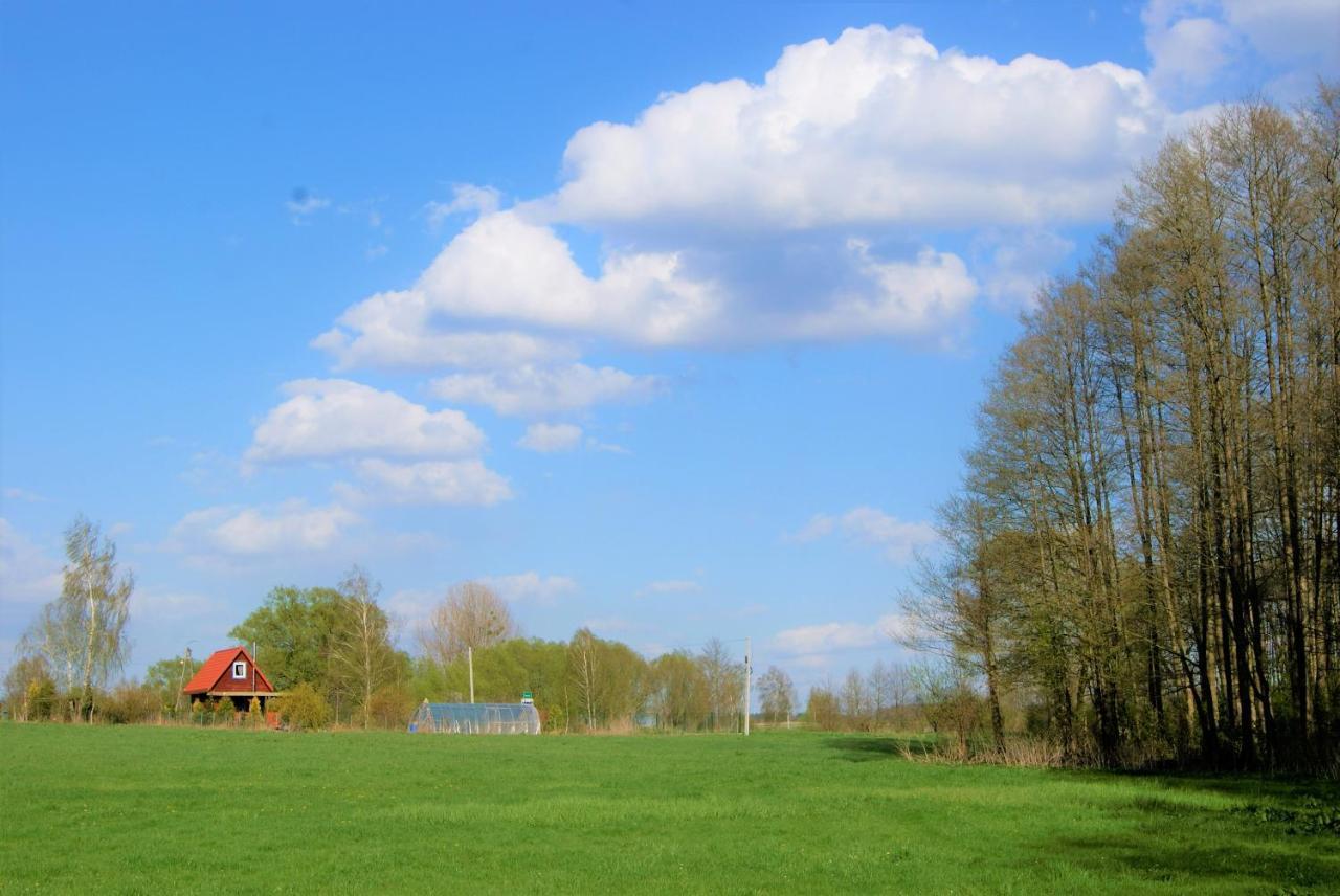 Losiowate Gospodarstwo Agroturystyczne Rybaki  外观 照片