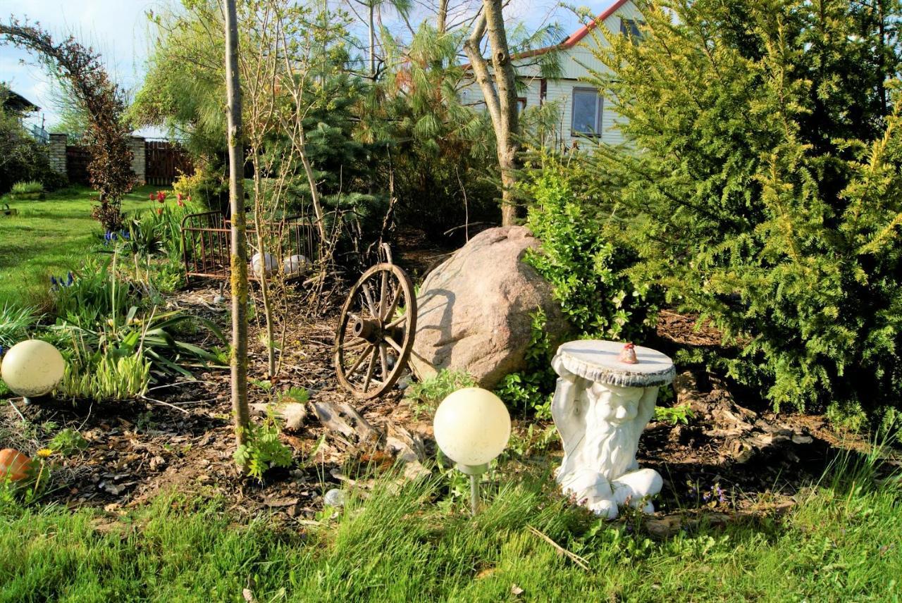 Losiowate Gospodarstwo Agroturystyczne Rybaki  外观 照片